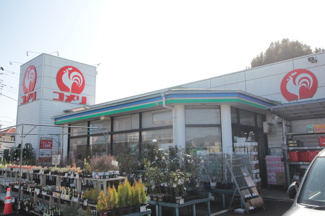 コメリハード＆グリーン保谷北町店