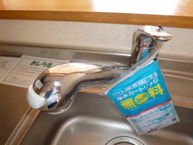 シャン・ド・レギュムのキッチン|シングルレバー混合水栓（浄水器対応）
