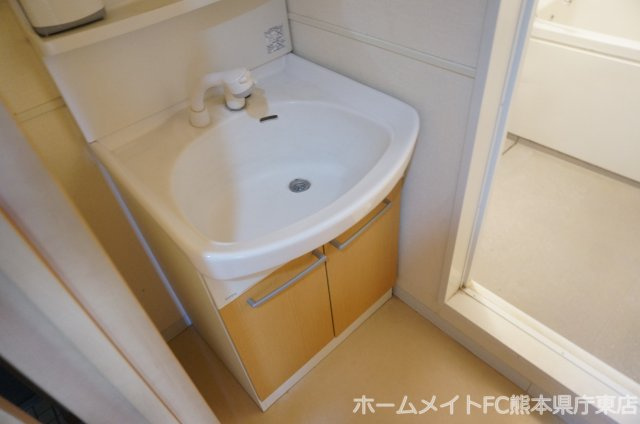 熊本市南区出仲間９丁目の賃貸マンションの独立洗面台