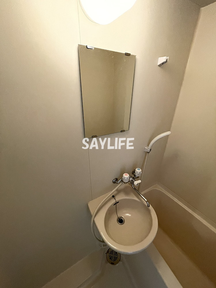 グランメール高井田の洗面所