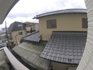 【展望】