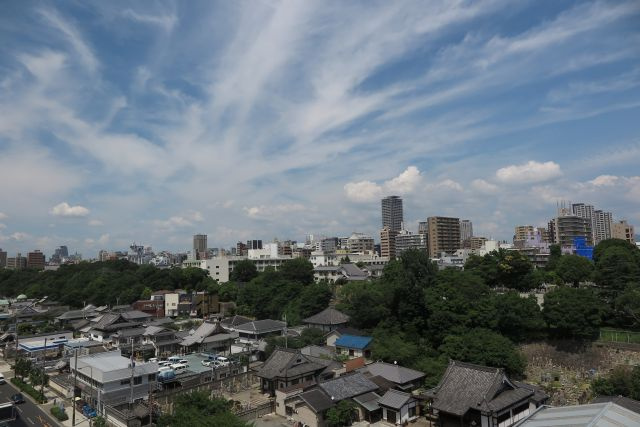 ラシュレエグゼ夕陽丘の展望