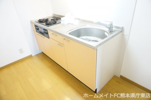 熊本市中央区大江６丁目の賃貸マンションのキッチン