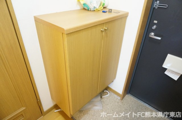 熊本市中央区大江６丁目の賃貸マンションの玄関