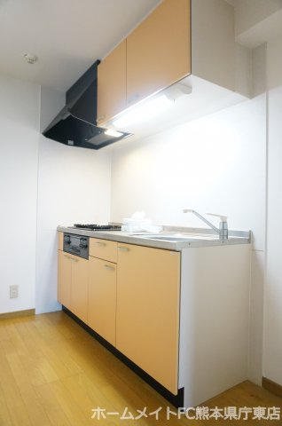 熊本市中央区大江６丁目の賃貸マンションのキッチン