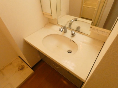 【洗面所】 | TEC小作 | 便利なシャワー付き洗面台タイプ。