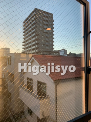 【展望】 | ゼルコヴァ