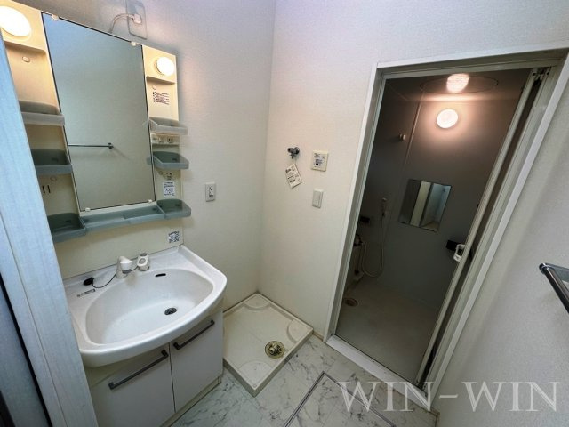 宝珠 Bの洗面所