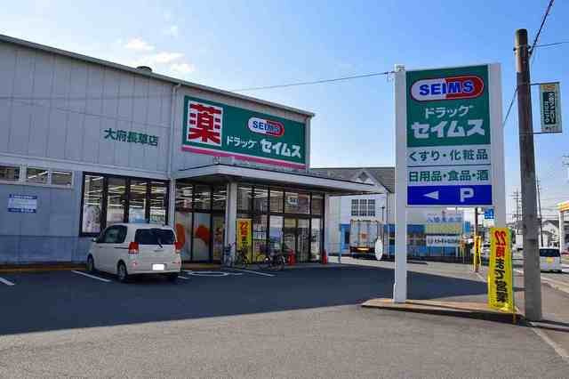 ボヌールＦの周辺|ドラッグセイムス大府長草店まで600m