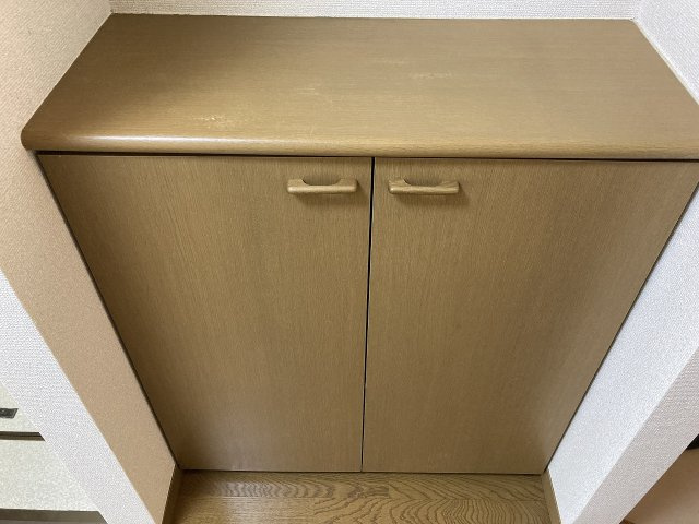プラティーニューセジュールの収納