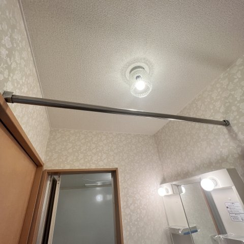 Ｃａｐｅ　ｈｏｕｓｅのその他