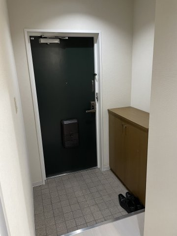 グランデーミFYの洗面所