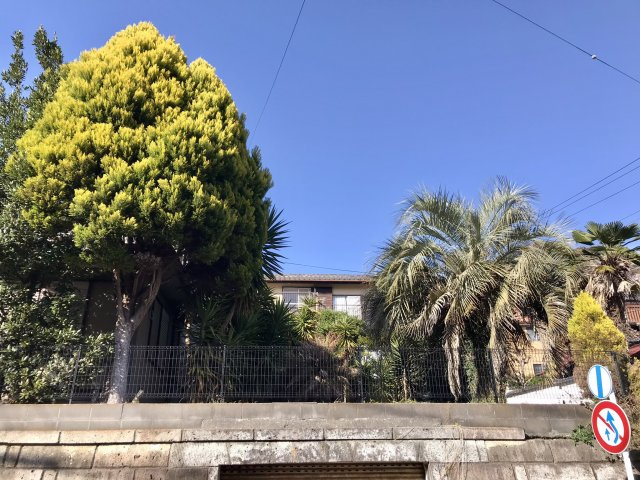 稲村ガ崎　南東・南西向き陽当り良好角地　売地の外観|南側に広いお庭が広がります。