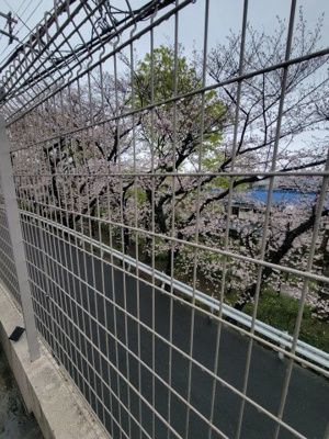 【展望】 | グランドールモンシェリー