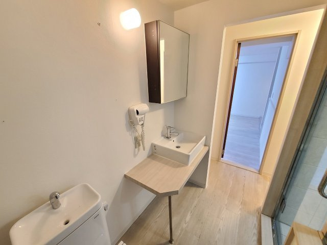 BIANCASA水主町｜名古屋市の賃貸ならMy賃貸の洗面所|BIANCASA水主町