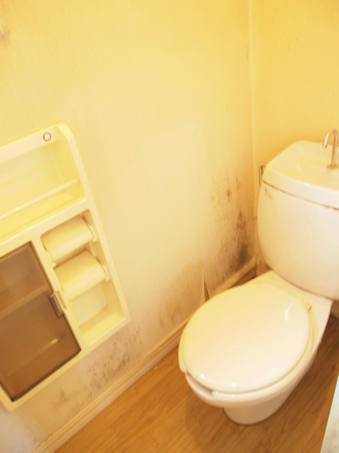 ちろりん村【キャッシュバック対象物件】のトイレ