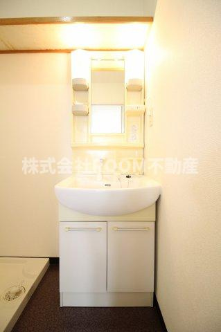 ネストプレイス金田の洗面所