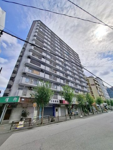 錦糸町ハイタウン　リ　ノベーション済の外観