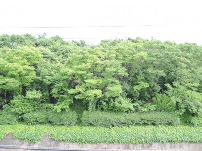 【展望】 | ヴィラ・コジュカ