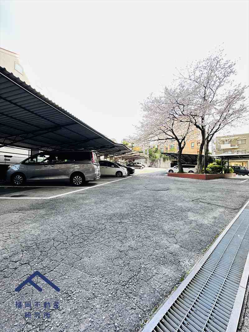 大濠藤和コーポの駐車場