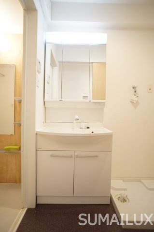 熊本市西区二本木２丁目の賃貸マンションの洗面所
