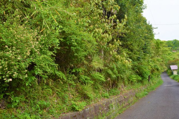 【前面道路含む現地写真】 | 丸善ランド　売地