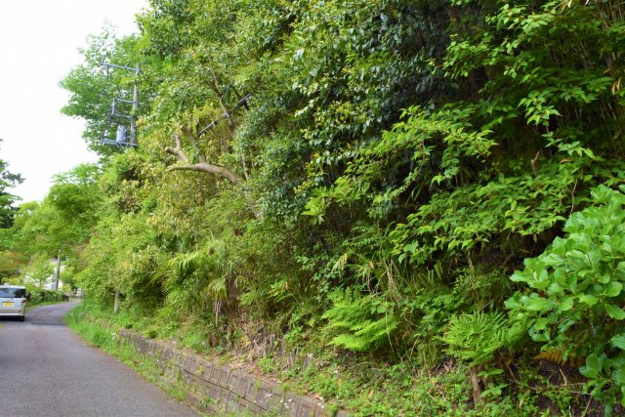 【前面道路含む現地写真】 | 丸善ランド　売地