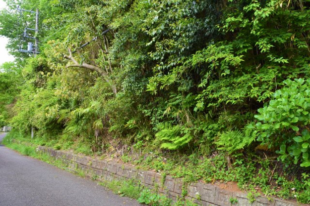【前面道路含む現地写真】 | 丸善ランド　売地