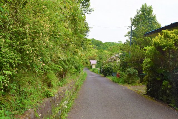 【前面道路含む現地写真】 | 丸善ランド　売地