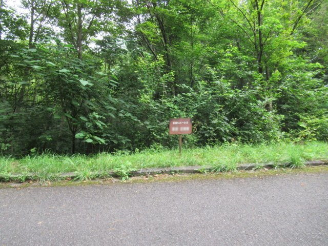 グリーンタウンあたみ①の外観|緑豊かな別荘地です