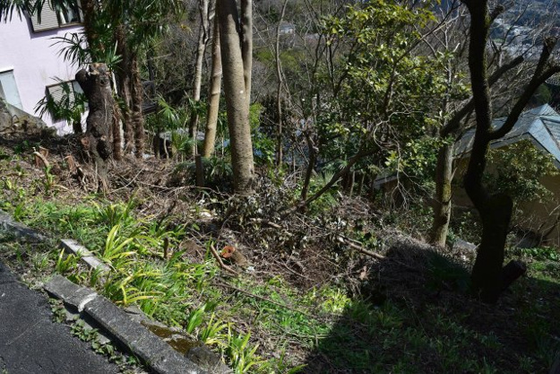 【外観】 | 丸善ランド　売地