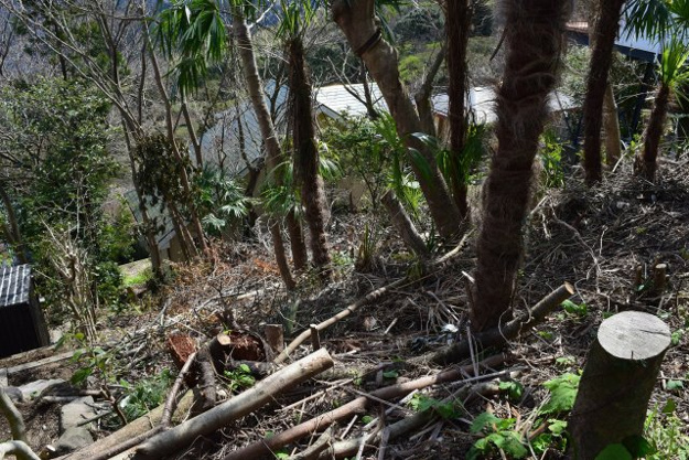 【外観】 | 丸善ランド　売地