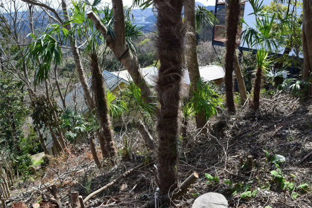 【外観】 | 丸善ランド　売地