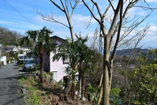 【外観】 | 丸善ランド　売地