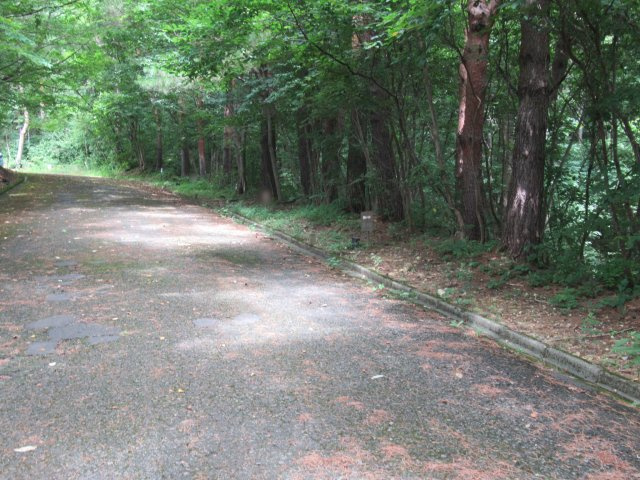 グリーンタウンあたみ②の前面道路含む現地写真