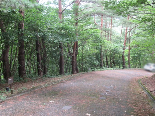 グリーンタウンあたみ②の前面道路含む現地写真