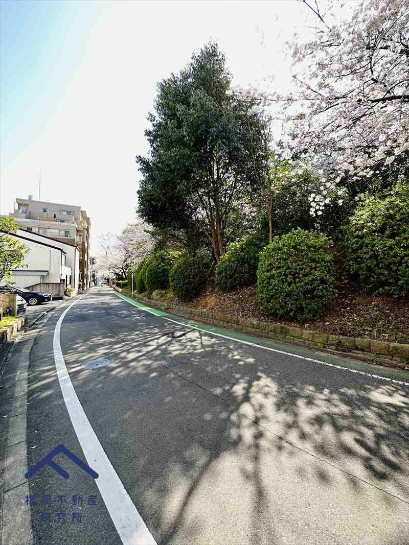 アメックス西新南パークヒルズの周辺