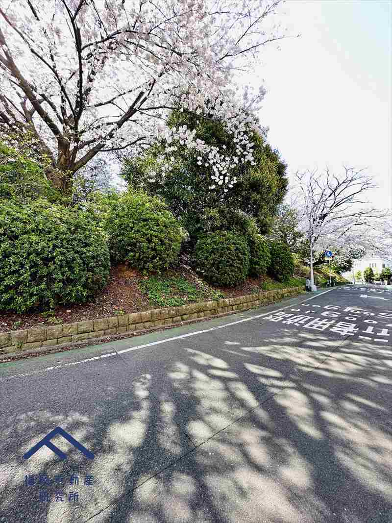 アメックス西新南パークヒルズの周辺