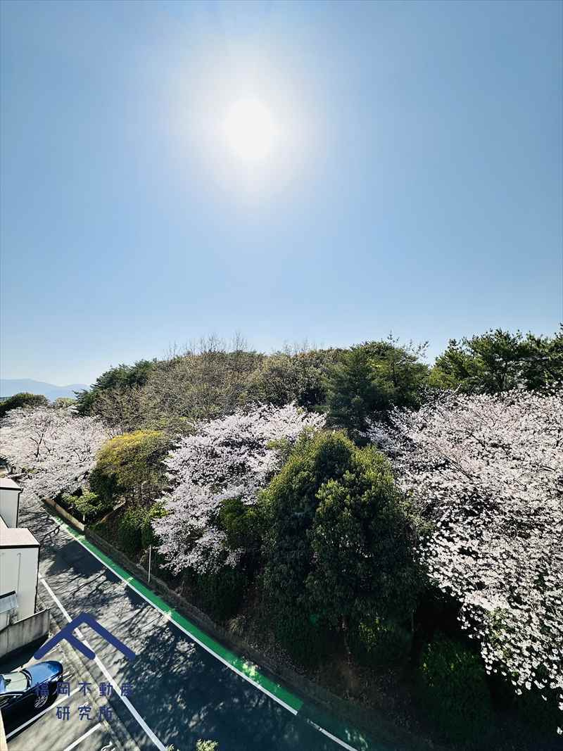 アメックス西新南パークヒルズの展望