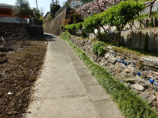 羽島売地の前面道路含む現地写真