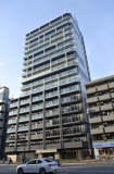 Ｒｉｓｉｎｇ　Ｐｌａｃｅ　Ｋａｍｅｉｄｏの画像
