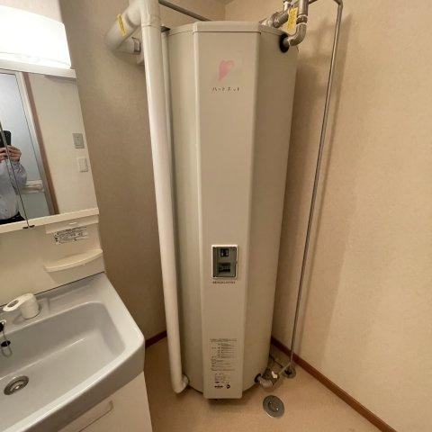ハイツブルーラグーンの洗面所