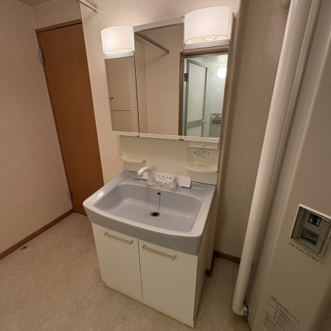 ハイツブルーラグーンの洗面所