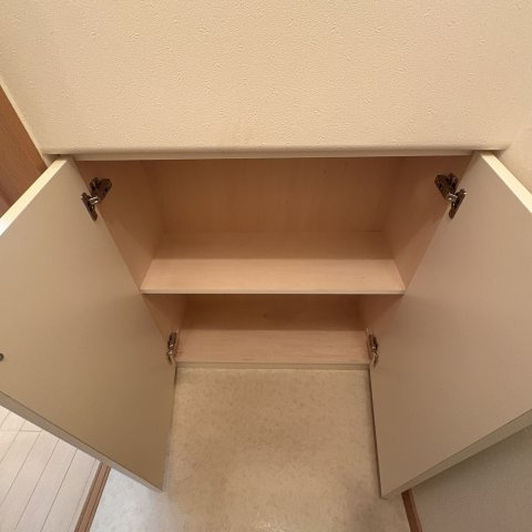 ハイツブルーラグーンのその他