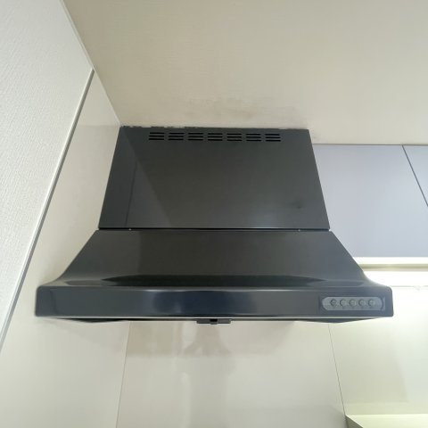 ハイツブルーラグーンの玄関