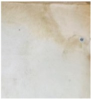 仲介手数料0円！！Maison Lafreのバルコニー