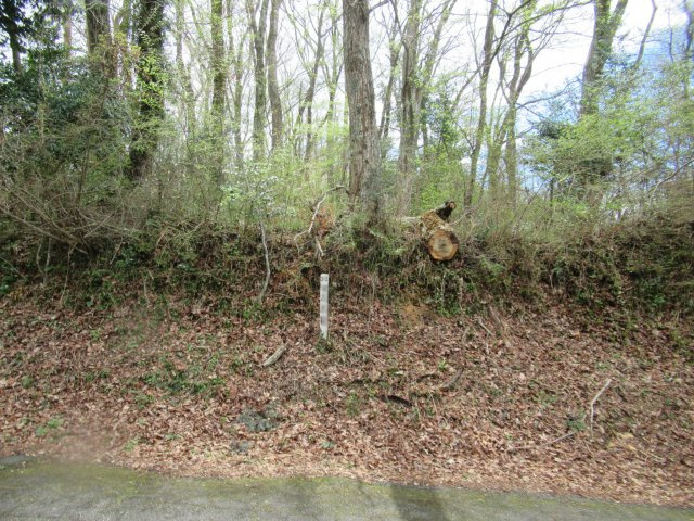 伊豆平パールタウン①の外観