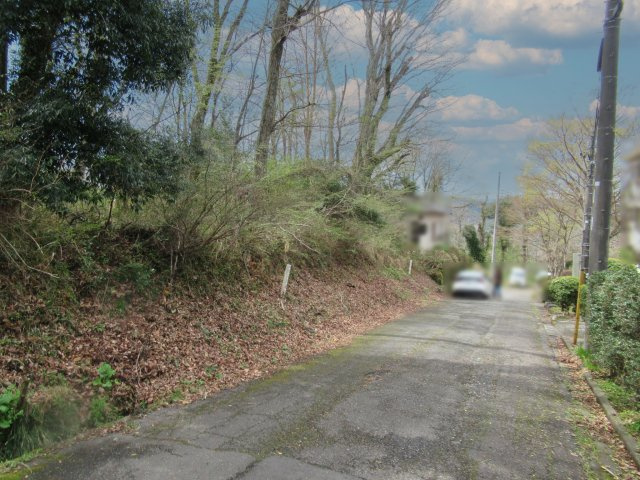 伊豆平パールタウン①の前面道路含む現地写真