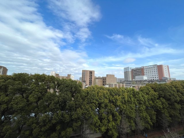赤門ロイヤルハイツの展望|眺望
