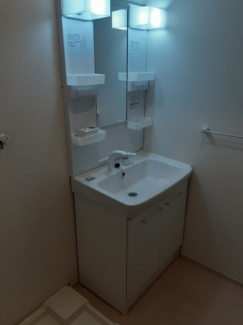 サンヴェール茂原Dの洗面所